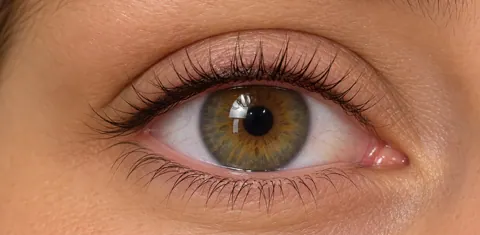 Dezelfde wimperrand na infralash, voller en donkerder