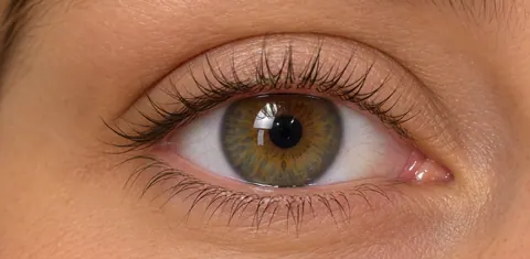 Wimperrand voor de infralash-behandeling